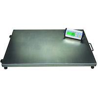 CPWplus Large Weighing Scales